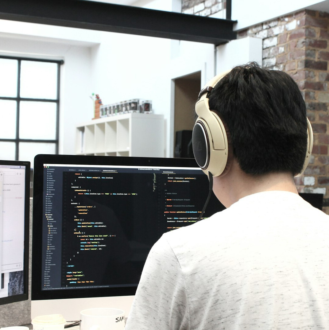 professional developer career